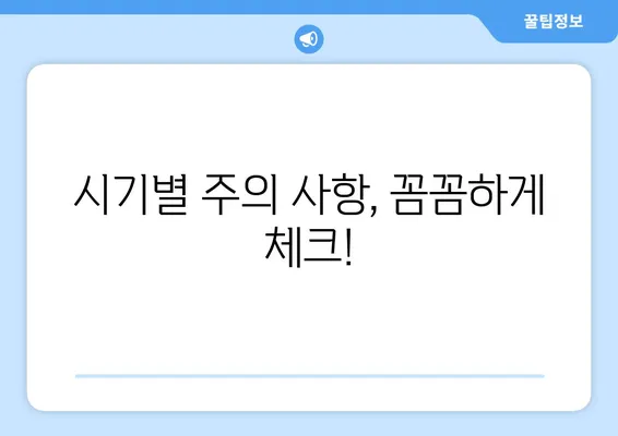 영유아 구강검진 시기 & 횟수 완벽 가이드 | 건강보험, 무료 검진, 시기별 주의 사항