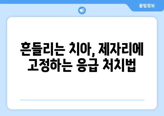 치아 외상 발생 시, 즉각적인 응급 처치 방법| 치과 의료진의 전문적인 조언 | 치아 외상, 응급 처치, 치과 진료, 치아 손상