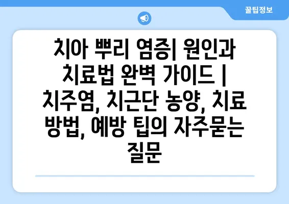 치아 뿌리 염증| 원인과 치료법 완벽 가이드 | 치주염, 치근단 농양, 치료 방법, 예방 팁