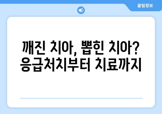 광교 치과에서 치아 손상? 걱정 마세요! 손상 유형별 대처 가이드 | 치아 손상, 치과 치료, 광교 치과, 응급처치