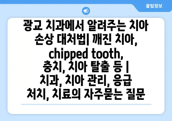 광교 치과에서 알려주는 치아 손상 대처법| 깨진 치아,  chipped tooth, 충치, 치아 탈출 등 | 치과, 치아 관리, 응급 처치, 치료