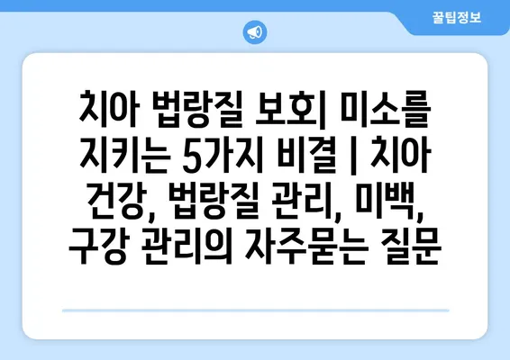 치아 법랑질 보호| 미소를 지키는 5가지 비결 | 치아 건강, 법랑질 관리, 미백, 구강 관리