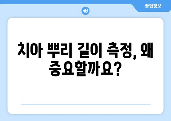 치아 뿌리 길이| 측정 방법과 문제 해결 솔루션 | 치과, 임플란트, 치주 질환, 잇몸 염증