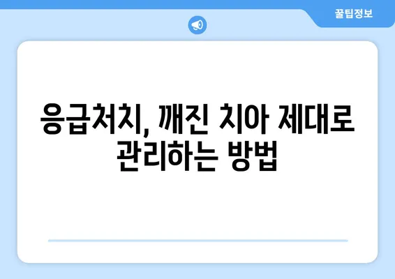 치아 깨짐, 당황하지 마세요! 😱  치료 방법과 대처법 총정리 | 응급처치, 치과 진료, 주의사항