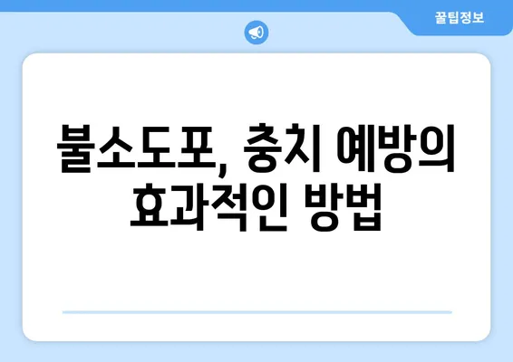 은평뉴타운 소아치과 불소도포, 아이 치아 건강 지키는 안전한 방법 | 불소도포, 소아치과, 치아 건강, 예방