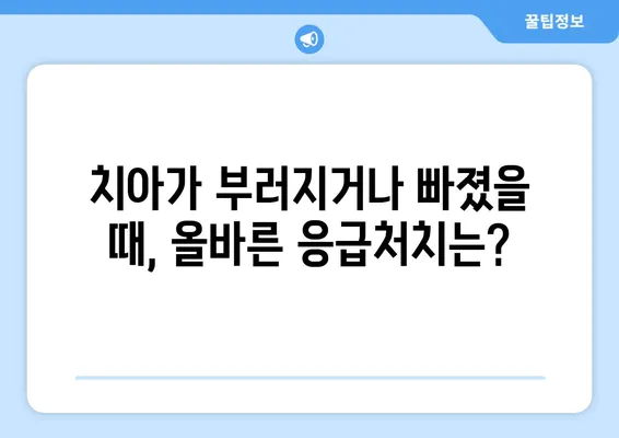 어린이 치아 외상, 원인과 증상 그리고 대처법 | 어린이 치과, 치아 손상, 응급처치