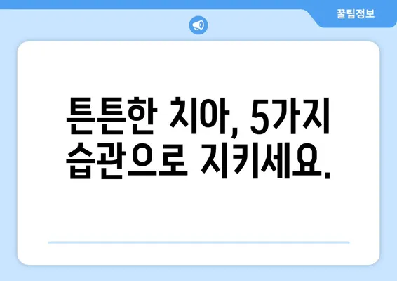 부평 치과에서 치아 탈락 막는 5가지 방법 | 치아 건강, 예방 관리, 치과 상담