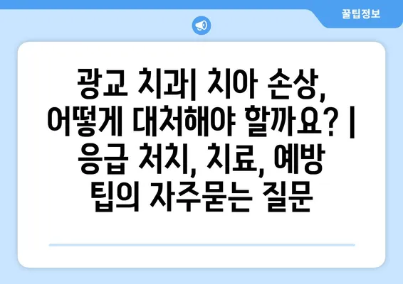 광교 치과| 치아 손상, 어떻게 대처해야 할까요? | 응급 처치, 치료, 예방 팁