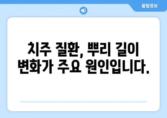 치아 뿌리 길이| 측정 방법과 문제 해결 솔루션 | 치과, 임플란트, 치주 질환, 잇몸 염증