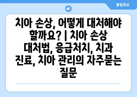 치아 손상, 어떻게 대처해야 할까요? | 치아 손상 대처법, 응급처치, 치과 진료, 치아 관리