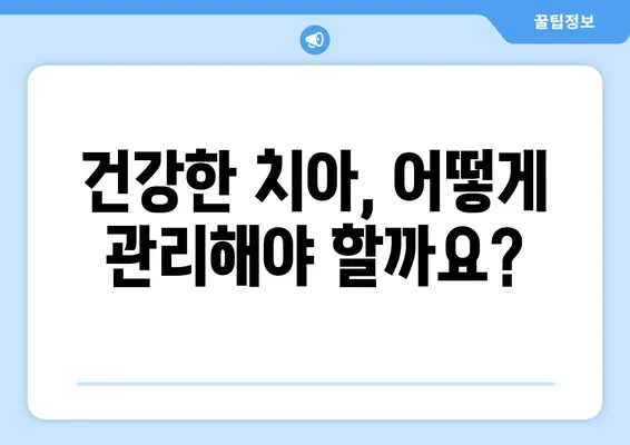 두 살 영유아 구강검진, 꼭 알아야 할 필수 지식 | 구강 건강, 치아 관리, 영유아 발달, 검진 정보, 부모 가이드