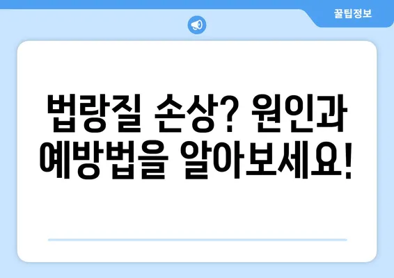 치아 법랑질 보호, 완벽 가이드| 건강한 치아를 위한 7가지 비법 | 법랑질 관리, 치아 건강, 잇몸 건강, 치아 미백