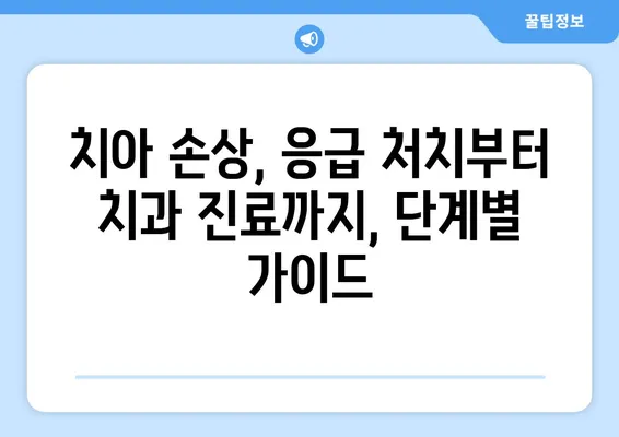 서면에서 치아 손상| 응급처치와 치과 진료 | 응급 상황, 치아 손상, 치과, 응급 처치, 치료