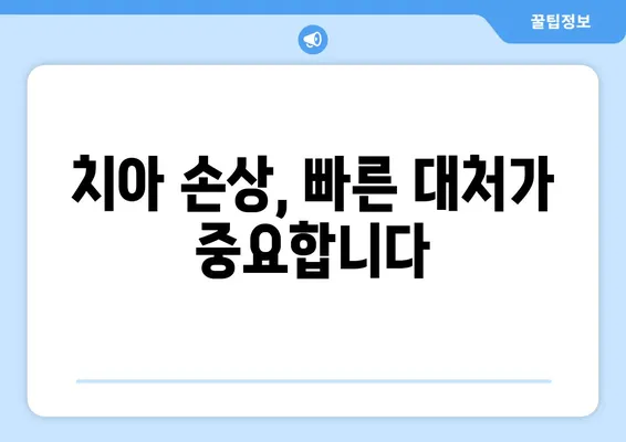 광교 치과에서 치아 손상? 걱정 마세요! 손상 유형별 대처 가이드 | 치아 손상, 치과 치료, 광교 치과, 응급처치