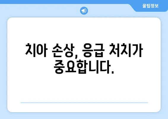 광교 치과에서 알려주는 치아 손상 대처법| 깨진 치아,  chipped tooth, 충치, 치아 탈출 등 | 치과, 치아 관리, 응급 처치, 치료