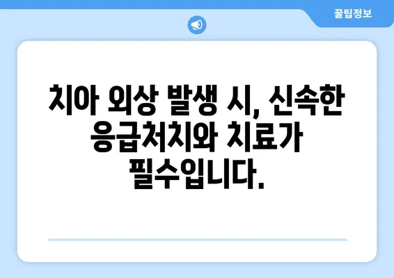 직업별 치아 외상 예방 & 치료 가이드| 안전하게 일하고 건강한 치아 지키기 | 치아 외상, 직업 안전, 구강 건강