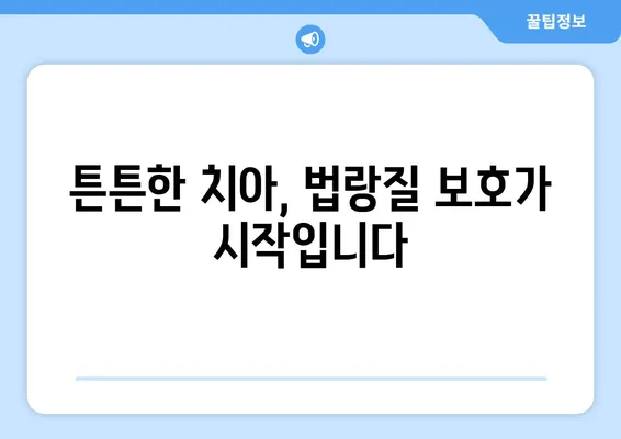 미소의 기둥, 치아 법랑질 지키는 5가지 방법 | 치아 건강, 미백, 잇몸 관리, 구강 관리