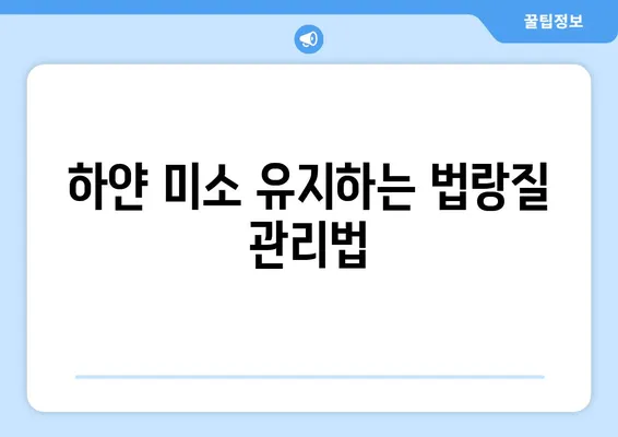 미소의 기둥, 치아 법랑질 지키는 5가지 방법 | 치아 건강, 미백, 잇몸 관리, 구강 관리