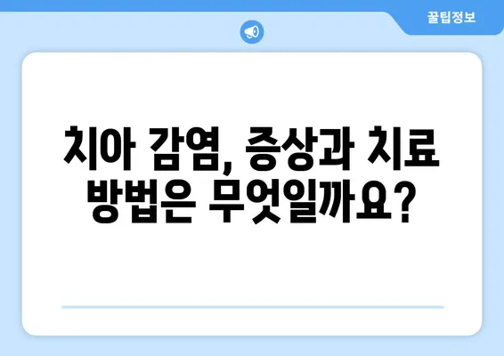 치과적 외상 후 치아 감염 위험| 예방부터 치료까지 완벽 가이드 | 치아 외상, 감염, 치료, 예방