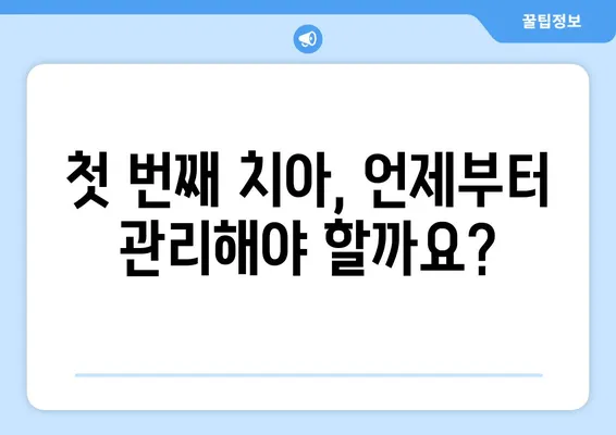 키즈엔젤치과 영유아 치과구강검진 & 불소도포| 가격, 시기, 궁금한 모든 것 | 영유아 치아 관리, 건강한 치아, 치과 상담