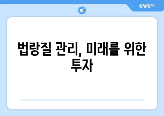 ✨ 빛나는 미소, 영원히! 법랑질 관리 | 미래를 위한 미소 투자 | 치아 건강, 법랑질 보호, 미백, 관리 팁