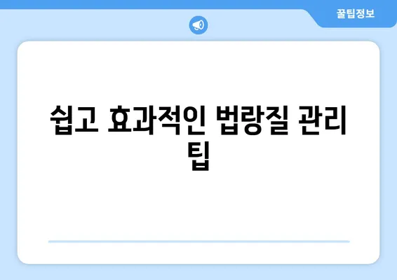 ✨ 빛나는 미소, 영원히! 법랑질 관리 | 미래를 위한 미소 투자 | 치아 건강, 법랑질 보호, 미백, 관리 팁