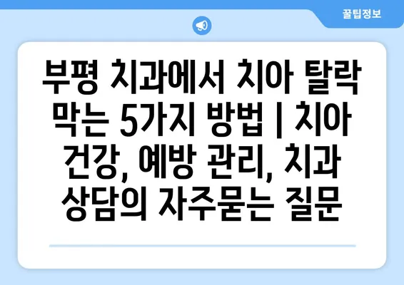 부평 치과에서 치아 탈락 막는 5가지 방법 | 치아 건강, 예방 관리, 치과 상담