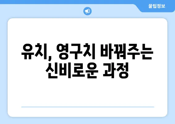 아기 유치 나는 순서, 화명키즈치과가 알려드립니다! | 유치, 영구치, 치아 발달, 아기 치아 관리