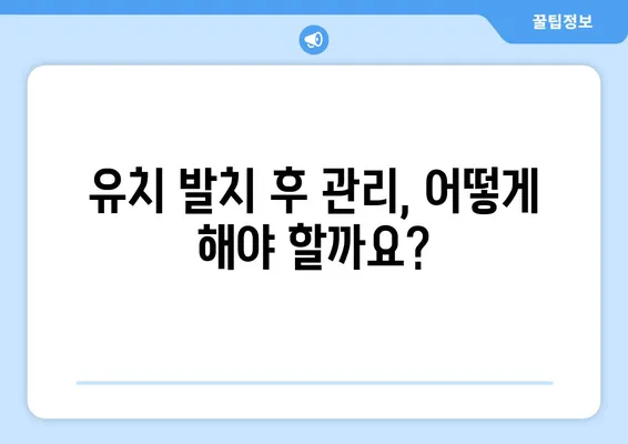 송파 강동 소아치과에서 어린이의 첫 유치 발치, 어떻게 기록해야 할까요? | 유치 발치, 기록, 소아치과, 송파, 강동