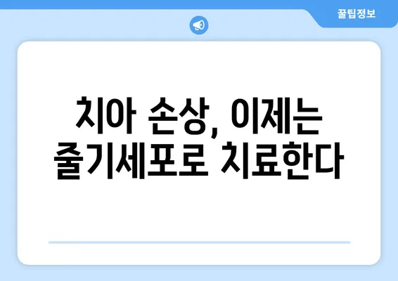 법랑질 줄기세포| 건강한 치아를 위한 놀라운 발견 | 치아 재생, 줄기세포 치료, 치과 혁신