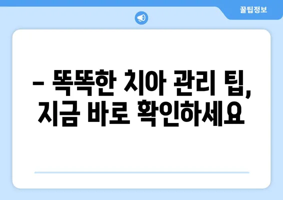 개롱 연세 웰주니어치과 키즈치과 추천| 영유아 구강검진 리뷰 & 후기 | 개롱역, 어린이치과, 치아 관리 팁