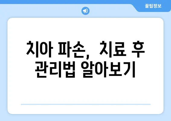 치아 파손 유형별 치료 방법| 깨진 치아, 부러진 치아,  chipped 치아 등 | 치과 치료, 치아 복구, 치아 관리