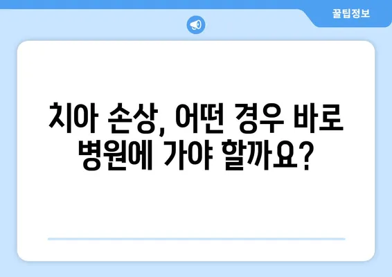 광교 치과 전문의가 알려주는 치아 손상, 이렇게 대처하세요! | 치아 손상, 응급처치, 치과 진료, 치아 관리