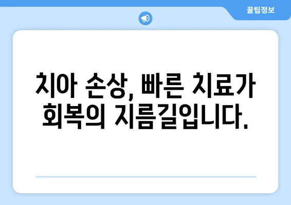 교통사고, 치아가 다쳤을 때? 즉각적인 대처 & 치료 가이드 | 치과적 외상, 응급처치, 치료 과정