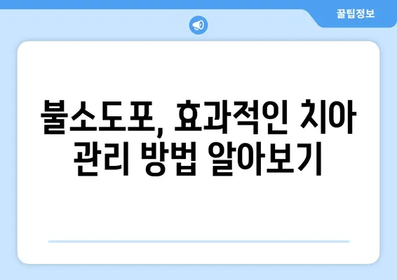 키즈 엔젤 치과에서 알아보는 불소도포 가격과 시기 | 어린이 치아 건강, 불소도포, 키즈 치과, 가격 정보