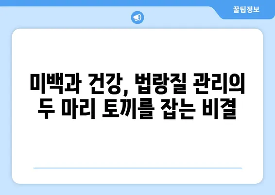 눈부신 미소를 위한 필수 요소| 미소를 위한 법랑질 관리 가이드 | 치아 미백, 법랑질 건강, 미소 자신감