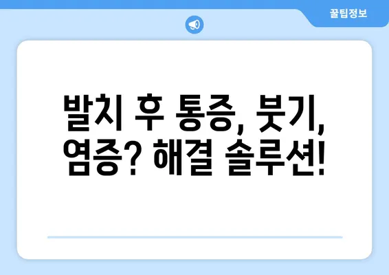 성인이 알아야 할 치아 발치와 그 후 관리| 필수 정보 총정리 | 치아 발치, 성인 치과, 발치 후 관리, 회복 가이드