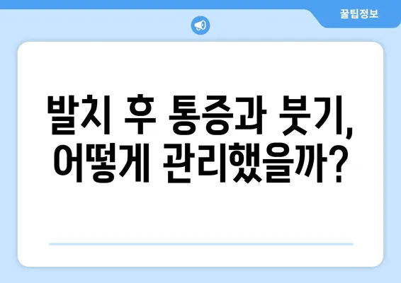 아래 앞니 임플란트 후기| 치아 발치 후 수술 과정 & 회복 | 임플란트, 발치, 수술, 회복, 경험