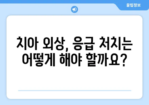 치과적 외상 후 치아 감염 위험| 예방부터 치료까지 완벽 가이드 | 치아 외상, 감염, 치료, 예방