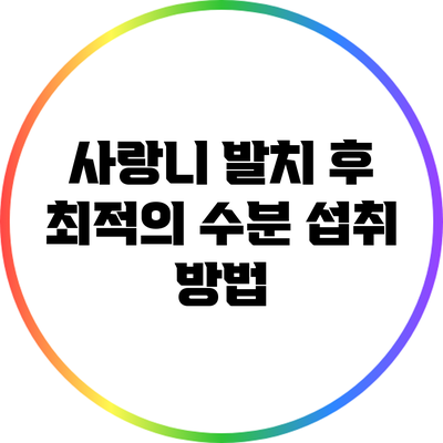 사랑니 발치 후 최적의 수분 섭취 방법