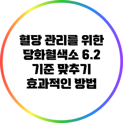 혈당 관리를 위한 당화혈색소 6.2 기준 맞추기 효과적인 방법