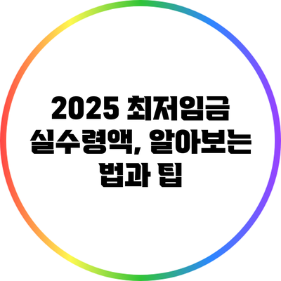 2025 최저임금 실수령액, 알아보는 법과 팁