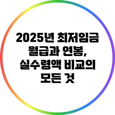 2025년 최저임금: 월급과 연봉, 실수령액 비교의 모든 것