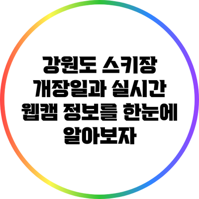 강원도 스키장 개장일과 실시간 웹캠 정보를 한눈에 알아보자