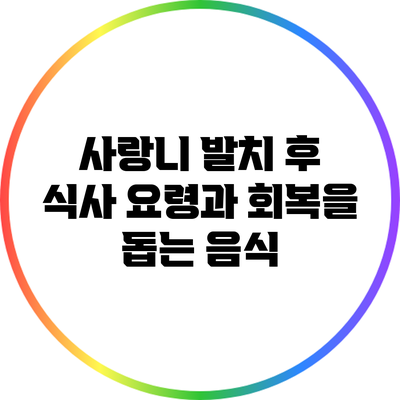 사랑니 발치 후 식사 요령과 회복을 돕는 음식