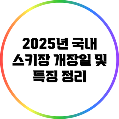 2025년 국내 스키장 개장일 및 특징 정리
