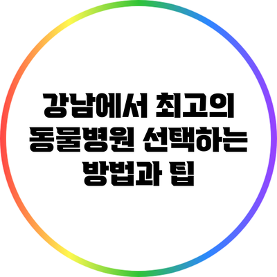 강남에서 최고의 동물병원 선택하는 방법과 팁