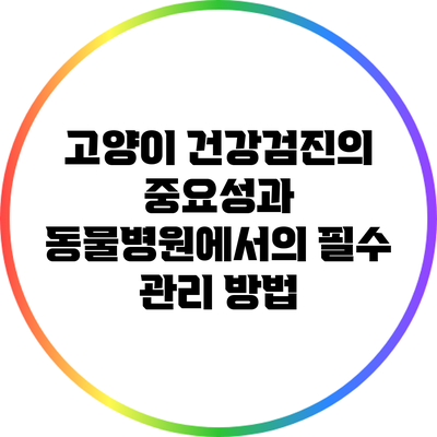 고양이 건강검진의 중요성과 동물병원에서의 필수 관리 방법
