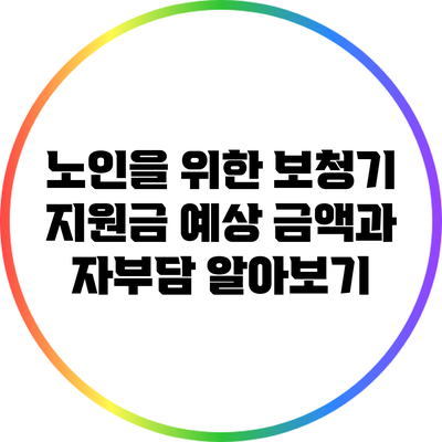 노인을 위한 보청기 지원금: 예상 금액과 자부담 알아보기