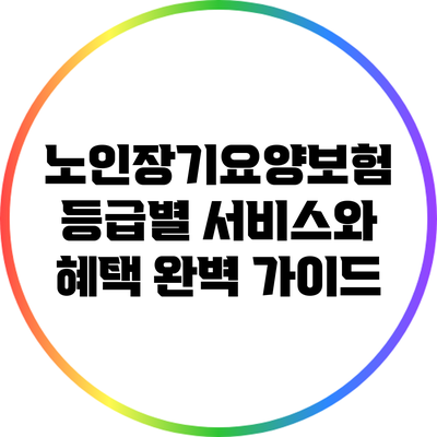 노인장기요양보험 등급별 서비스와 혜택 완벽 가이드